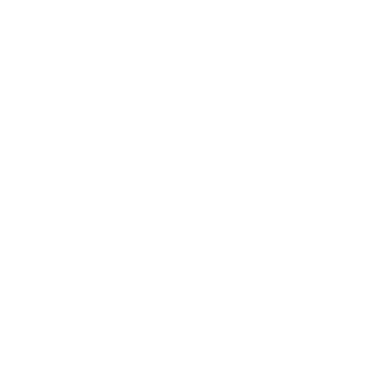 Camvi 78