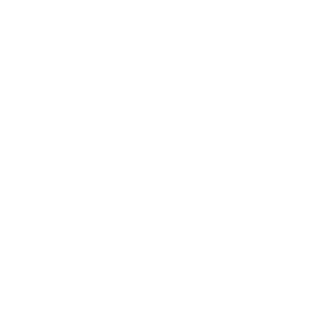 Camvi 78