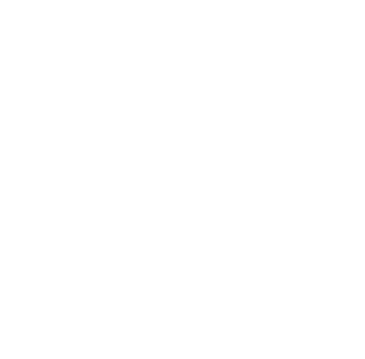Camvi 78