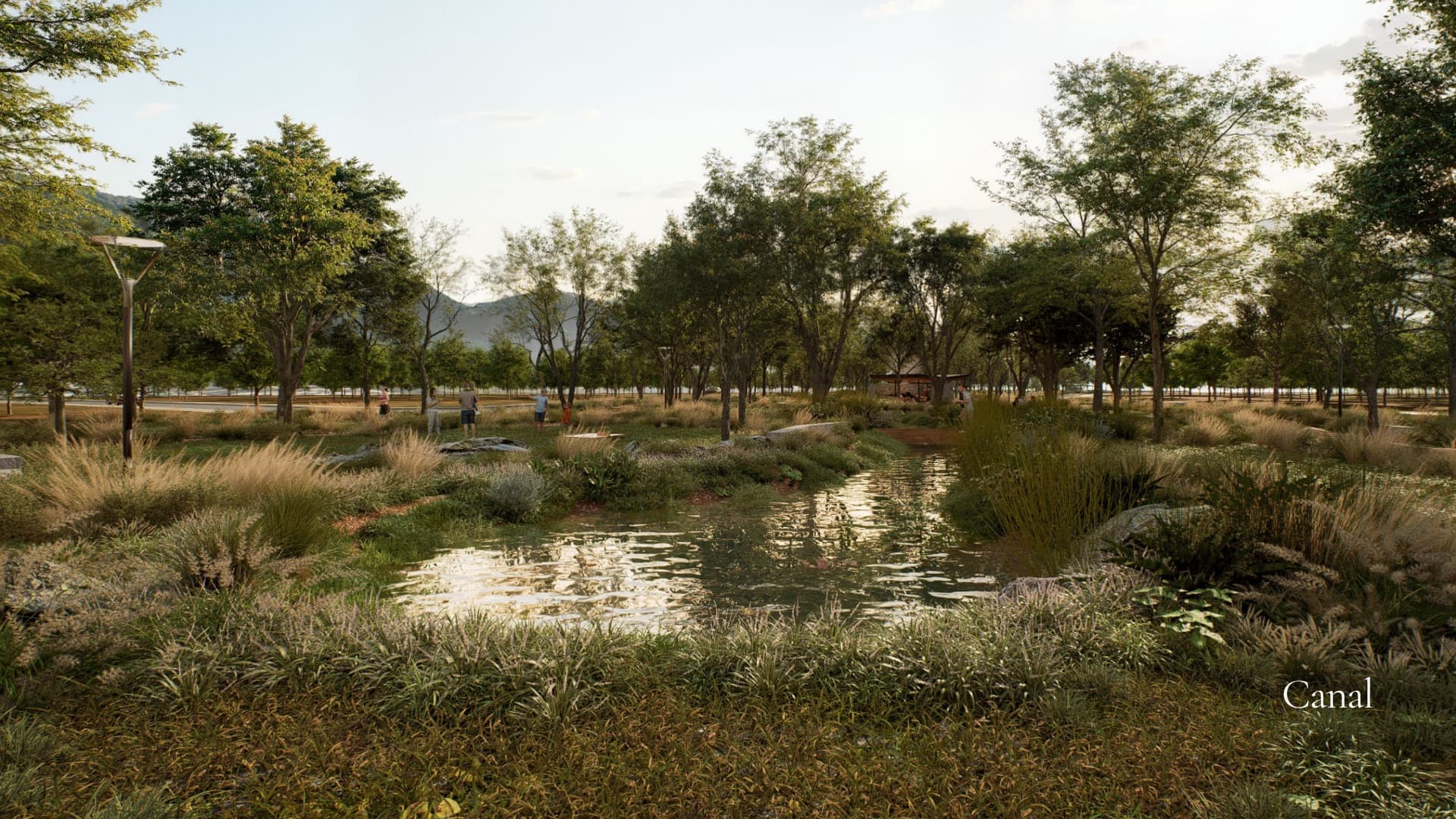 Los Olivos — paisaje